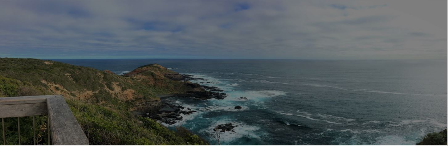 Welcome to the gallery!