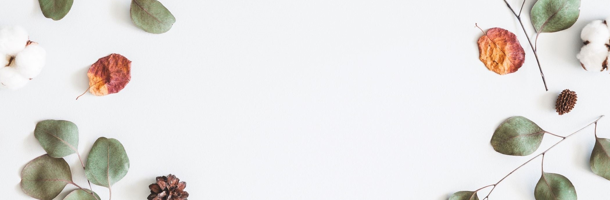 Lets Learn New Things Together