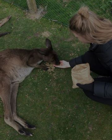 <span>See the</span><br />
Wildlife <br/>